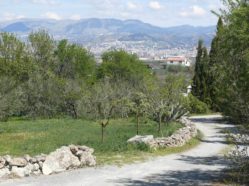 Cortijo Algabia Konuk evi Alhendín Dış mekan fotoğraf