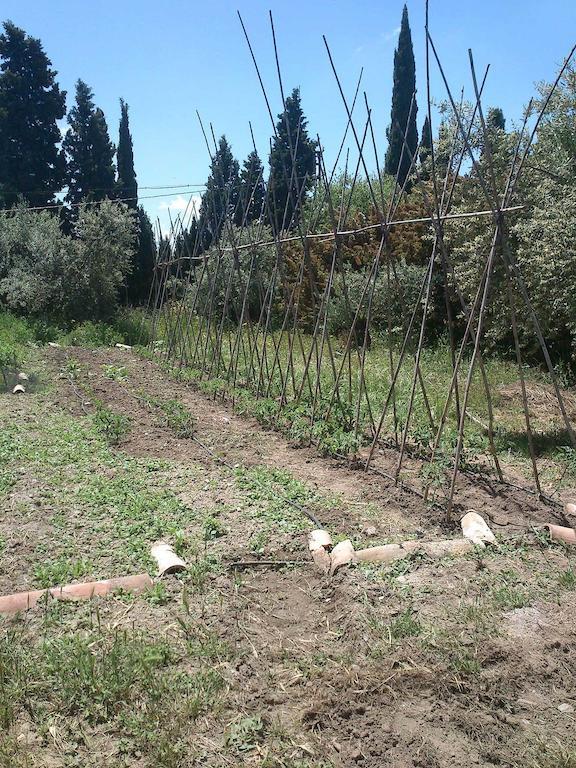 Cortijo Algabia Konuk evi Alhendín Dış mekan fotoğraf